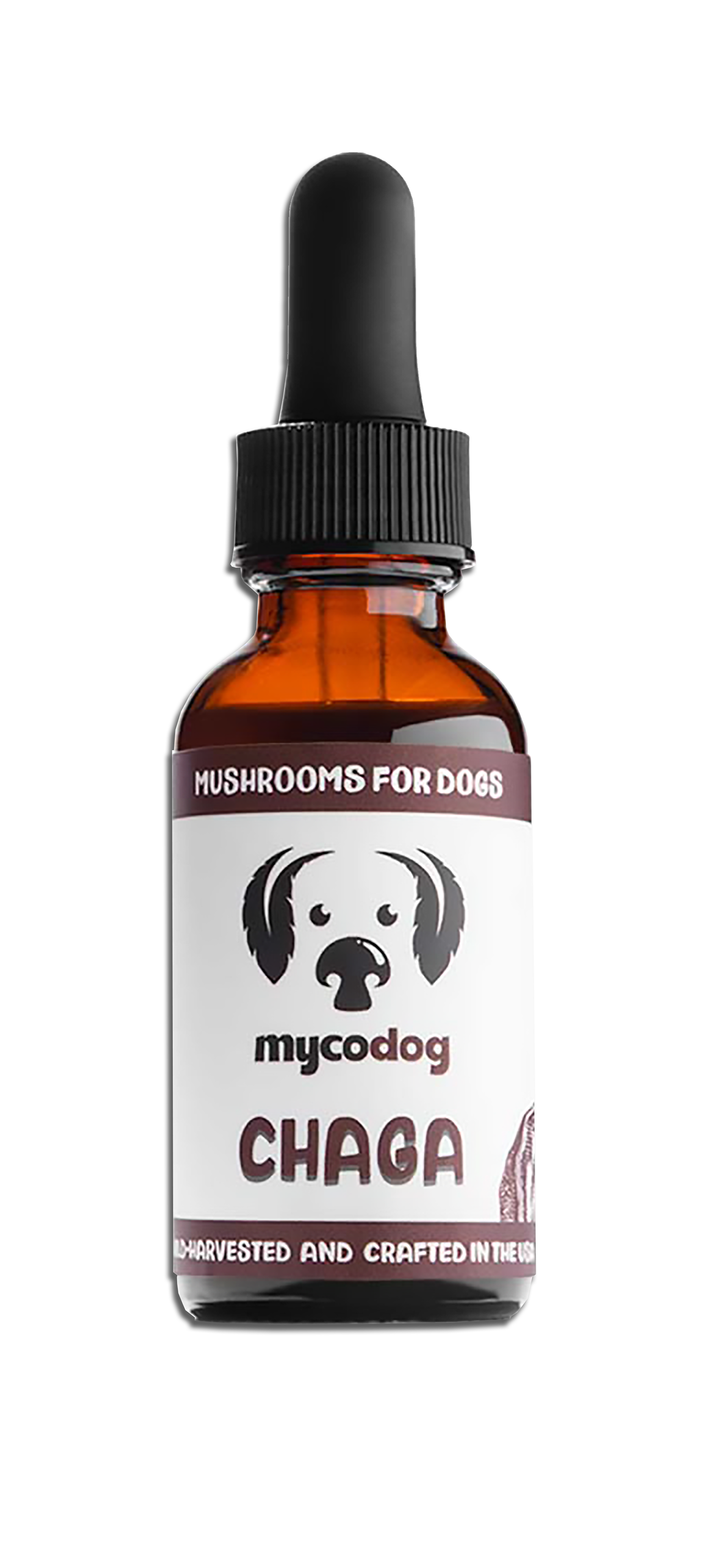 CANCER QUATTRO Maximum fire power