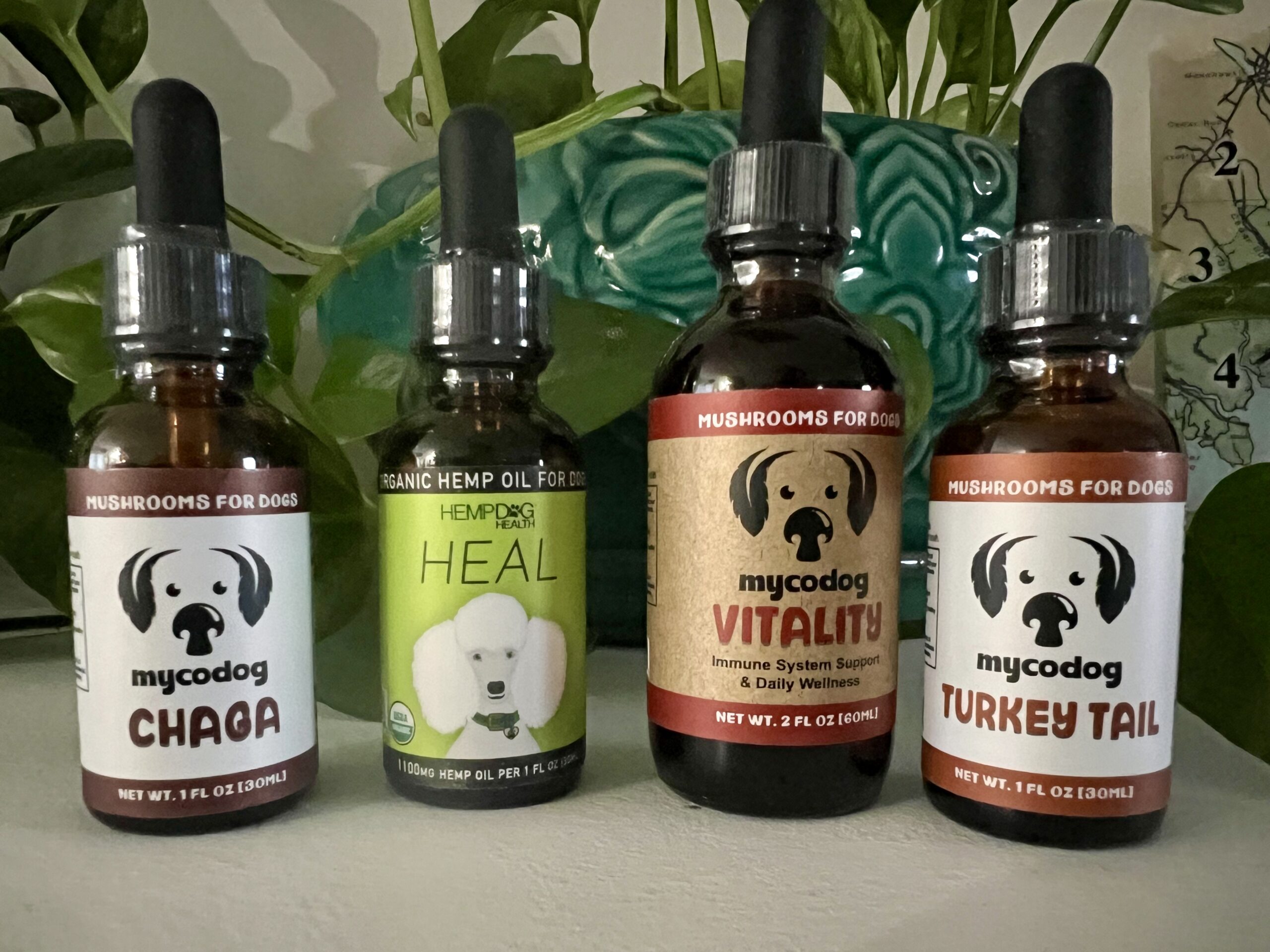 CANCER QUATTRO Maximum fire power