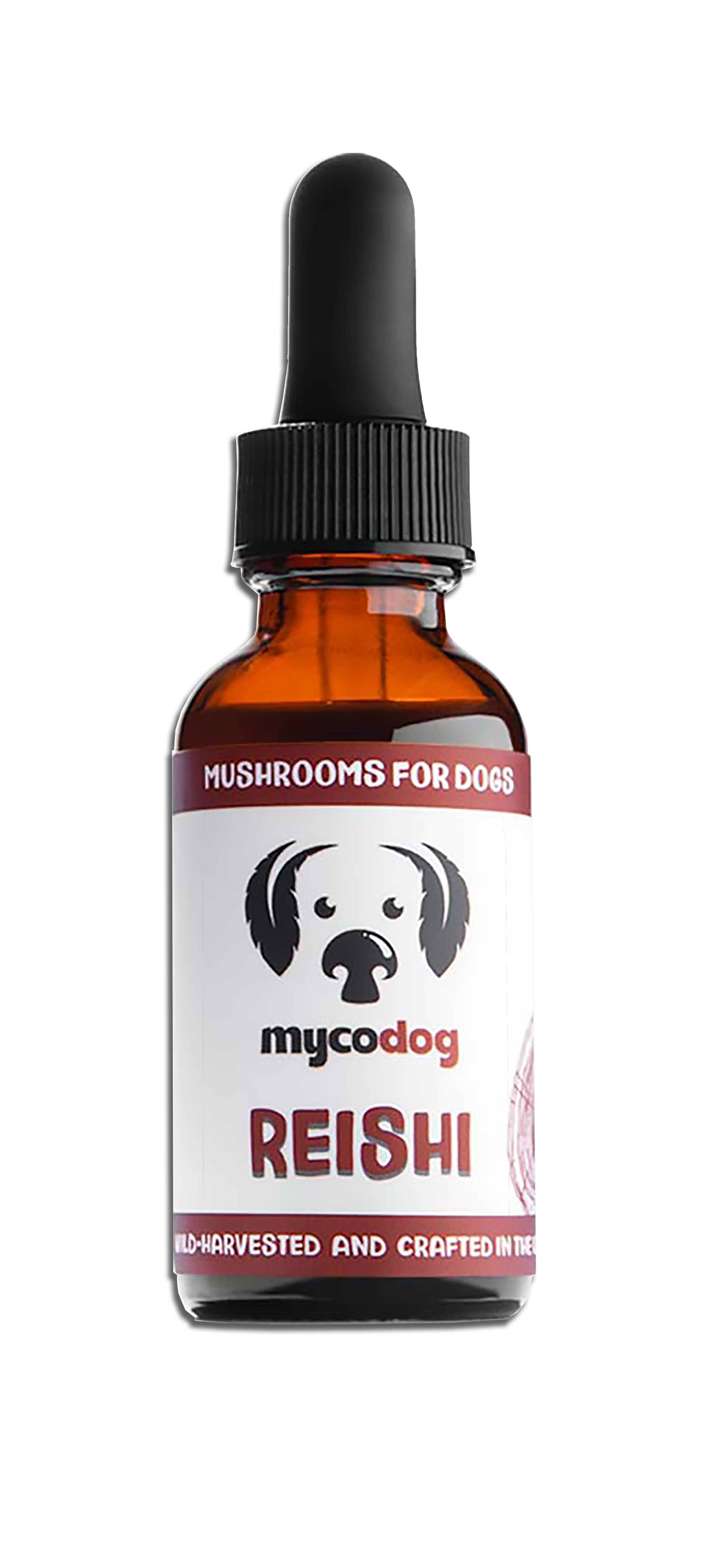 CANCER QUATTRO Maximum fire power