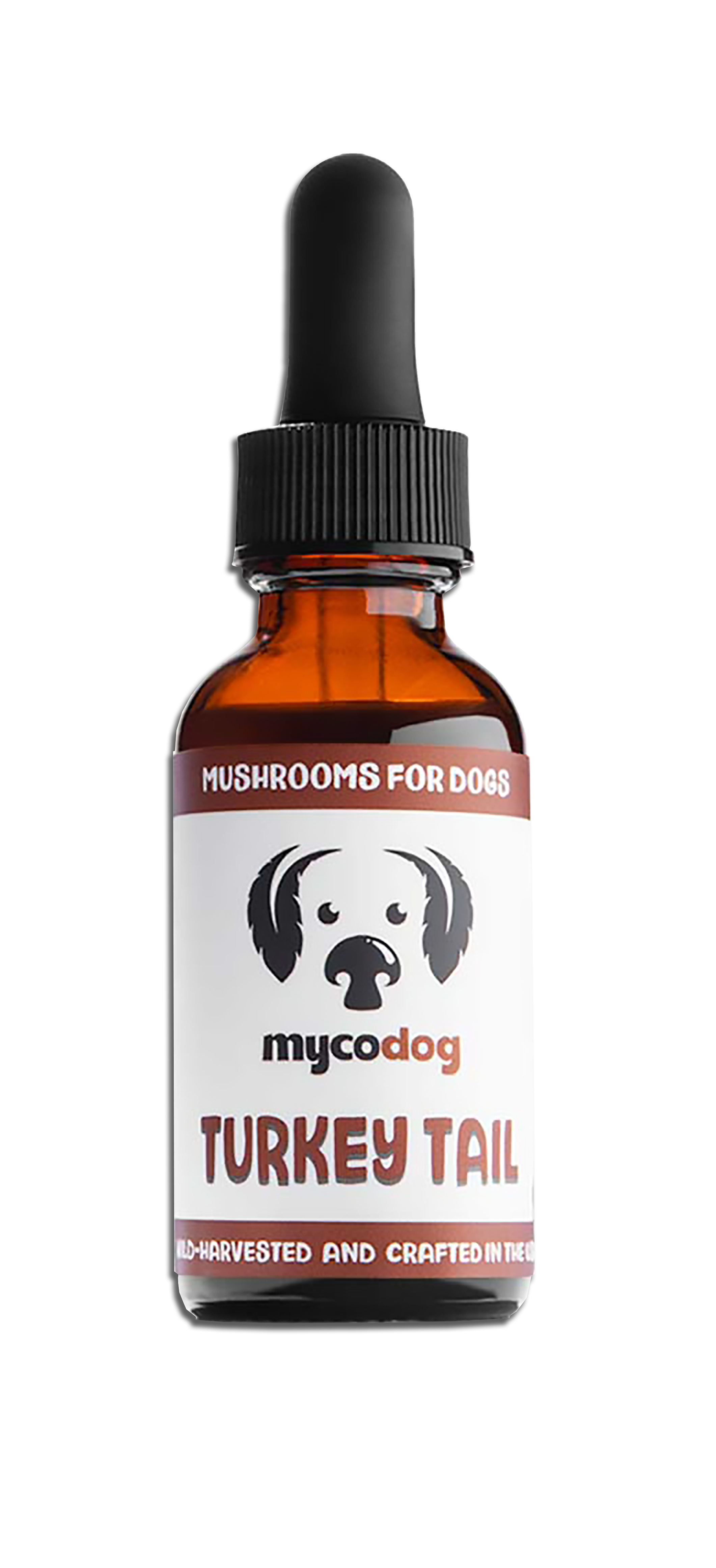 CANCER QUATTRO Maximum fire power